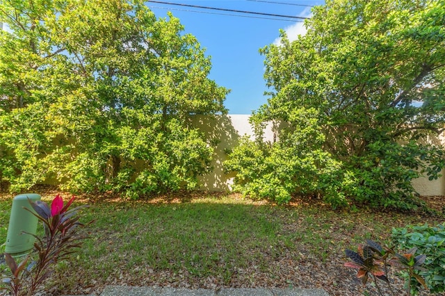 501 E Bay Dr Unit 102, Largo, FL 33770 - view of yard