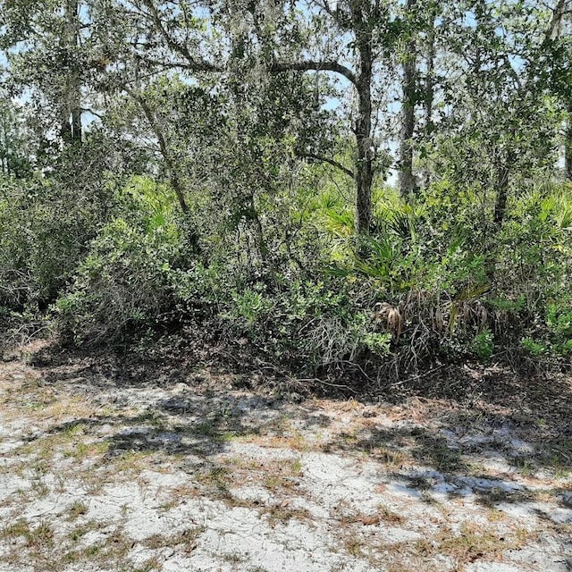 211 Camellia Dr, Indian Lake Estates, FL 33855 - photo 1