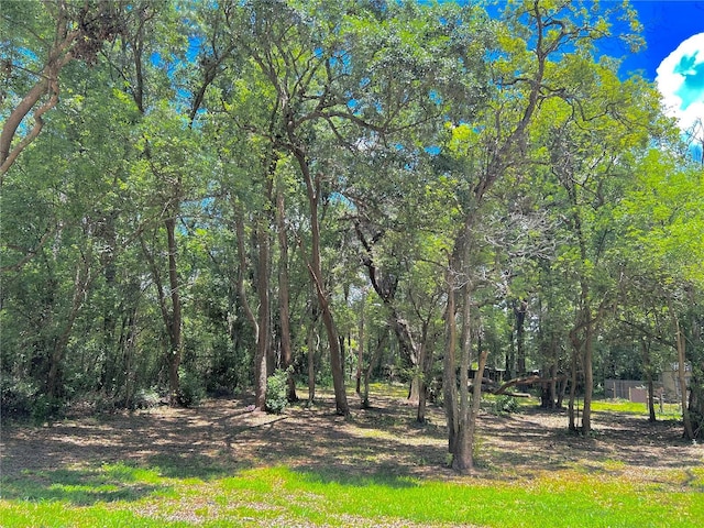 316 Jenkins Ave, Brooksville, FL 34604 - view of yard
