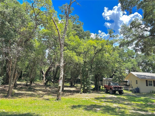 316 Jenkins Ave, Brooksville, FL 34604 - view of grassy yard