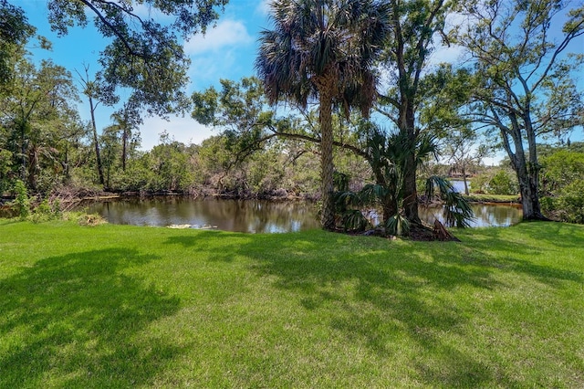1670 Fox Rd, Clearwater, FL 33764 - view of green lawn featuring a water view