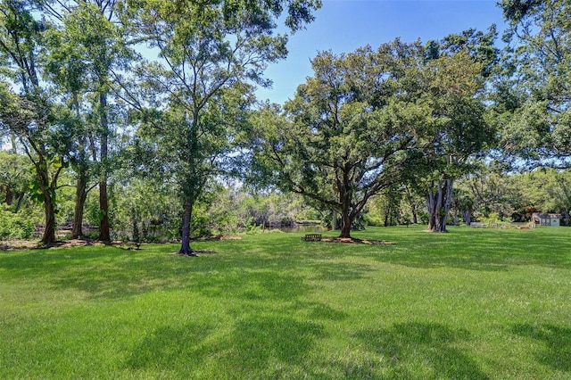 1670 Fox Rd, Clearwater, FL 33764 - view of grassy yard