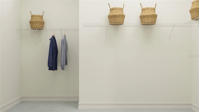 18477 Serene Lake Loop, Lutz, FL 33548 - spacious closet with carpet