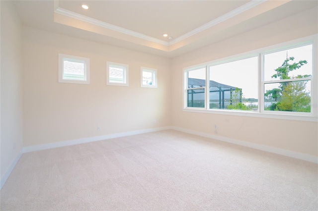 8834 Sanders Tree Loop, Wesley Chapel, FL 33545 - unfurnished room featuring crown molding, light carpet, baseboards, a tray ceiling, and recessed lighting