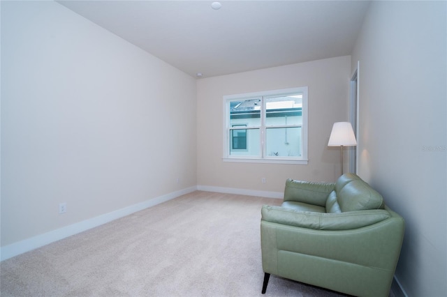 8834 Sanders Tree Loop, Wesley Chapel, FL 33545 - living area with carpet and baseboards