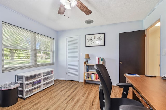 17801 Simmons Rd, Lutz, FL 33548 - home office featuring ceiling fan, light wood-type flooring, crown molding, a textured ceiling, and baseboards