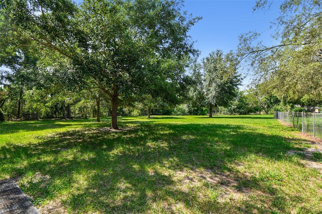 17801 Simmons Rd, Lutz, FL 33548 - view of yard