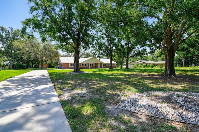 17801 Simmons Rd, Lutz, FL 33548 - view of front facade featuring concrete driveway and a front lawn