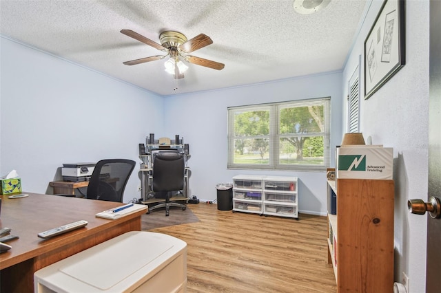 17801 Simmons Rd, Lutz, FL 33548 - home office with light wood-style flooring, a ceiling fan, and a textured ceiling