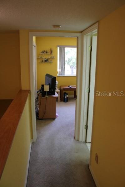 9722 Indian Key Trl Unit 116, Seminole, FL 33776 - hallway with carpet