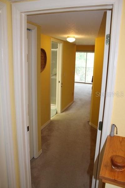 9722 Indian Key Trl Unit 116, Seminole, FL 33776 - hallway with light carpet and baseboards