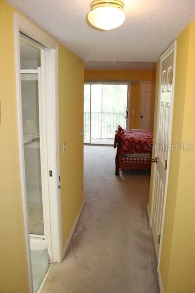 9722 Indian Key Trl Unit 116, Seminole, FL 33776 - corridor featuring light carpet and baseboards
