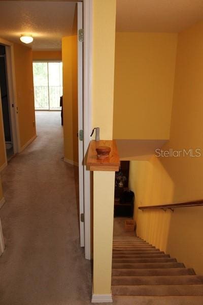 9722 Indian Key Trl Unit 116, Seminole, FL 33776 - stairs with carpet and baseboards