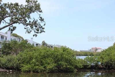 9722 Indian Key Trl Unit 116, Seminole, FL 33776 - water view