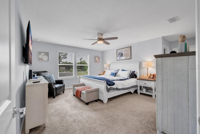 2781 Dolores Home Ave, Valrico, FL 33594 - bedroom with carpet floors and ceiling fan