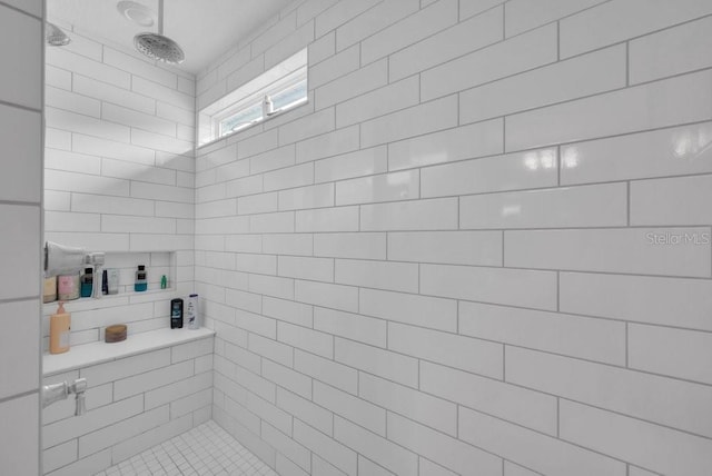 2781 Dolores Home Ave, Valrico, FL 33594 - full bathroom with tiled shower