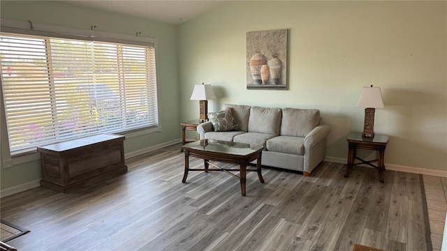 6405 Klaus Ct, Port Charlotte, FL 33981 - living room with wood finished floors and baseboards