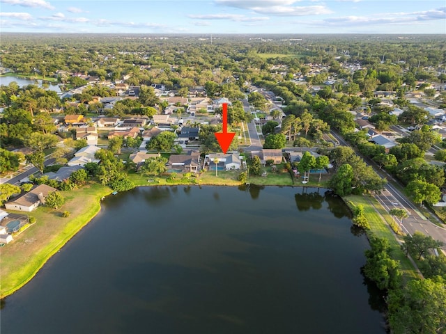 3925 Dunaire Dr, Valrico, FL 33596 - photo 4