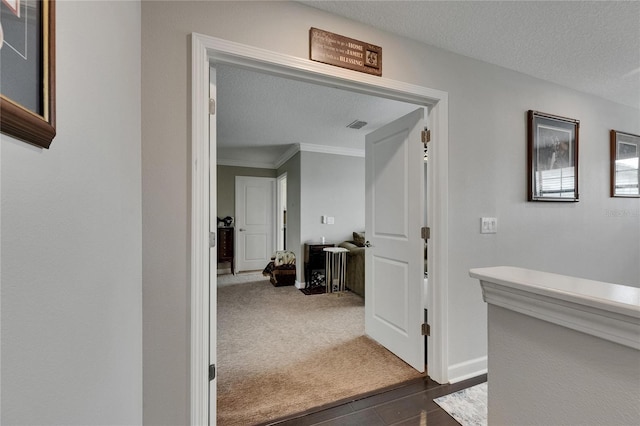 5057 Ivory Stone Dr, Wimauma, FL 33598 - photo 26