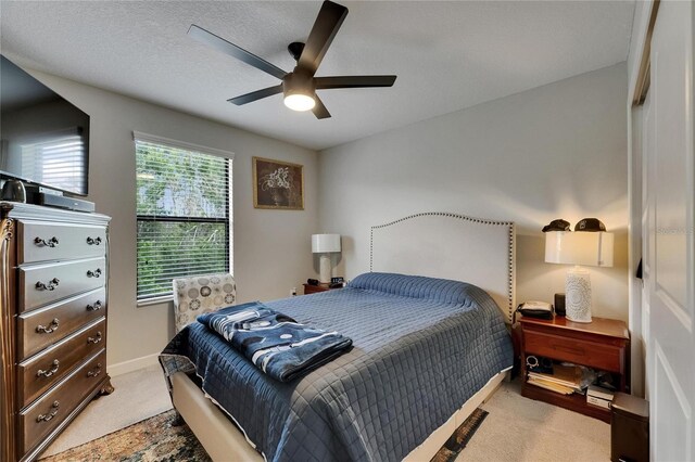5057 Ivory Stone Dr, Wimauma, FL 33598 - photo 33