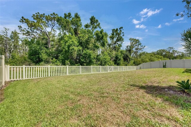 5057 Ivory Stone Dr, Wimauma, FL 33598 - photo 43