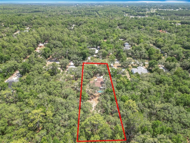 1199 E Mckinley St, Hernando, FL 34442 - aerial view of property's location featuring a heavily wooded area and property boundaries highlighted