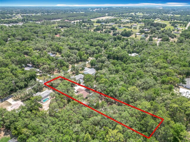1199 E Mckinley St, Hernando, FL 34442 - view of property location with property parcel outlined and a heavily wooded area