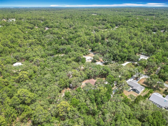 1199 E Mckinley St, Hernando, FL 34442 - view of property location with a forest