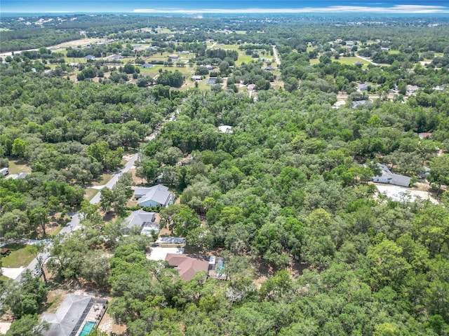 1199 E Mckinley St, Hernando, FL 34442 - drone / aerial view of a heavily wooded area