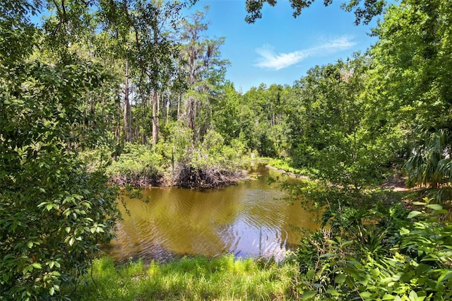 4419 Longshore Dr, Land O Lakes, FL 34639 - water view