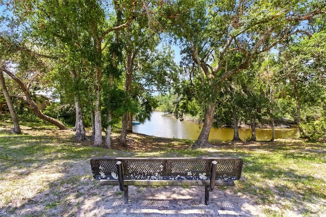 4419 Longshore Dr, Land O Lakes, FL 34639 - view of community with a water view