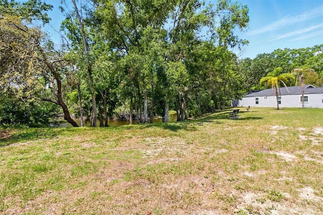 4419 Longshore Dr, Land O Lakes, FL 34639 - view of green lawn