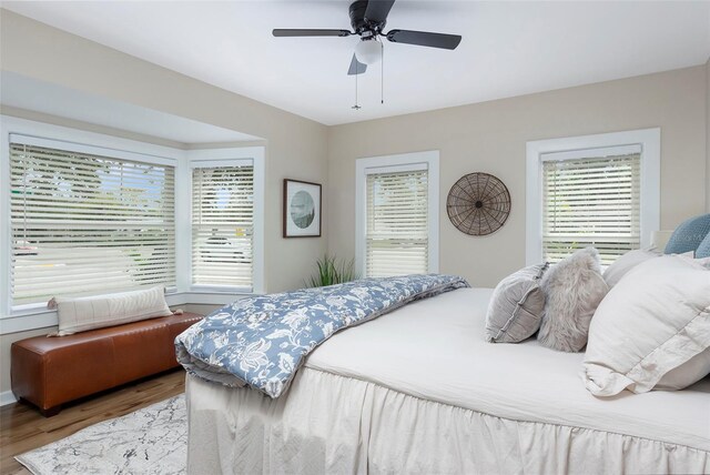701 38th Ave N, Saint Petersburg, FL 33704 - photo 25
