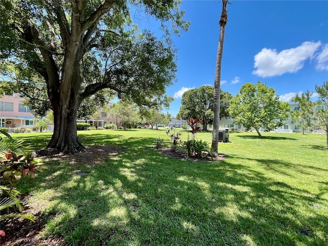 2457 Ecuadorian Way Unit 27, Clearwater, FL 33763 - view of grassy yard