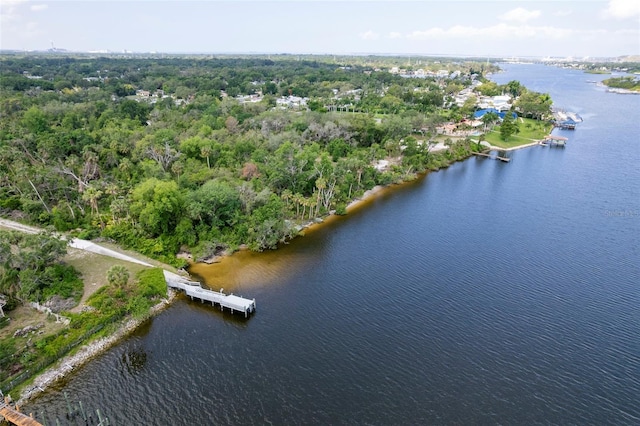 9908 Alafia River Ln, Gibsonton, FL 33534 - view of property location featuring a nearby body of water