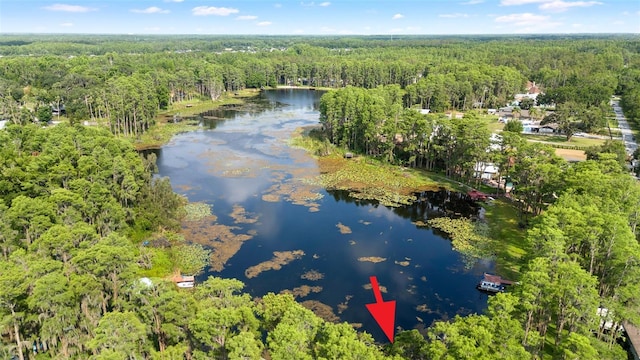 22004 Dupree Dr, Land O Lakes, FL 34639 - aerial view of property and surrounding area with a forest and a large body of water