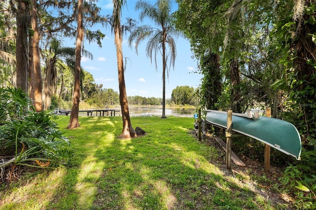 22004 Dupree Dr, Land O Lakes, FL 34639 - view of grassy yard featuring a water view