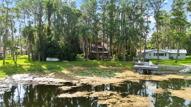 22004 Dupree Dr, Land O Lakes, FL 34639 - dock with a water view and a yard