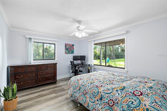 22004 Dupree Dr, Land O Lakes, FL 34639 - bedroom featuring light wood-style flooring, crown molding, a textured ceiling, a ceiling fan, and baseboards