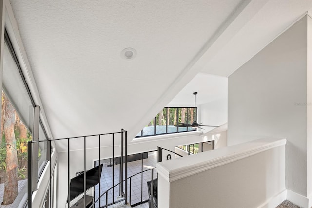 22004 Dupree Dr, Land O Lakes, FL 34639 - staircase with baseboards and ceiling fan