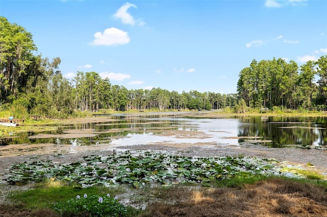 22004 Dupree Dr, Land O Lakes, FL 34639 - water view featuring a heavily wooded area