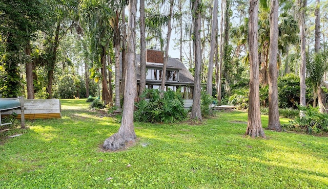22004 Dupree Dr, Land O Lakes, FL 34639 - view of grassy yard