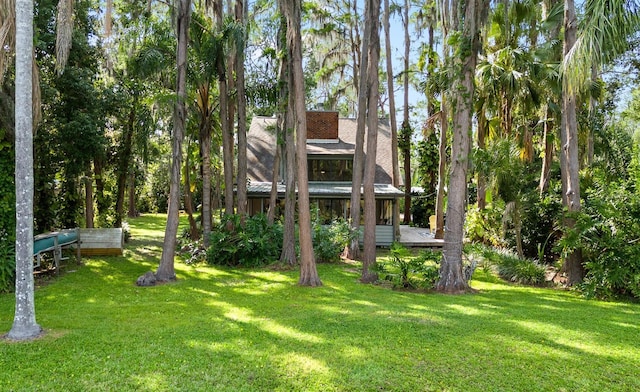 22004 Dupree Dr, Land O Lakes, FL 34639 - view of green lawn