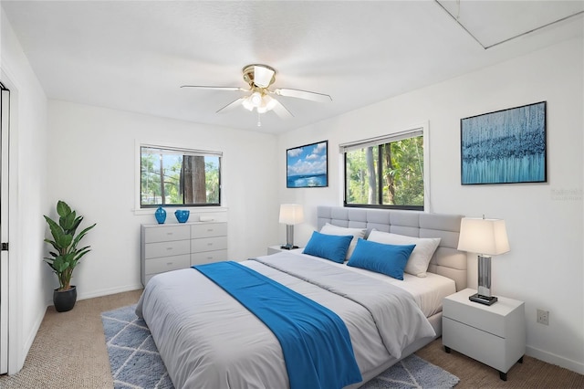 22004 Dupree Dr, Land O Lakes, FL 34639 - bedroom with multiple windows, carpet, and attic access