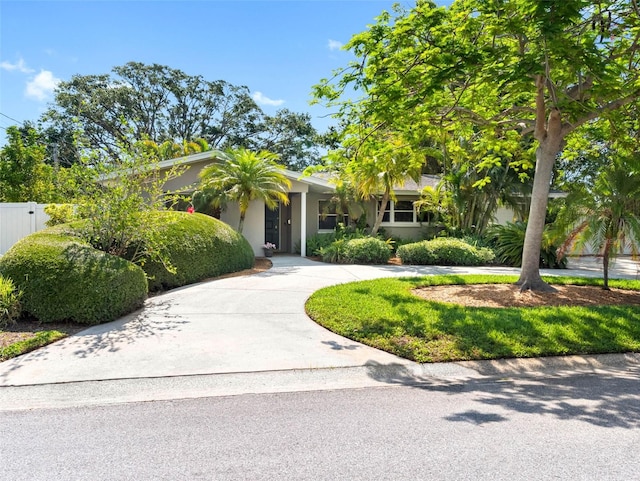 1701 38th St N, Saint Petersburg, FL 33713 - view of property hidden behind natural elements with curved driveway and stucco siding