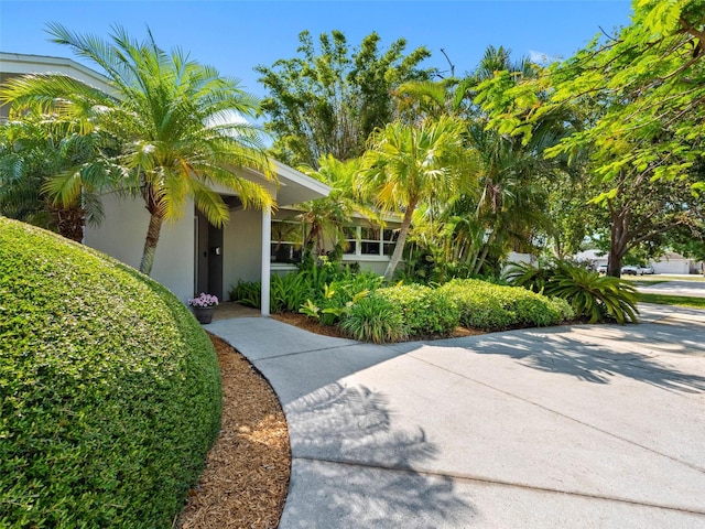 1701 38th St N, Saint Petersburg, FL 33713 - view of property's community