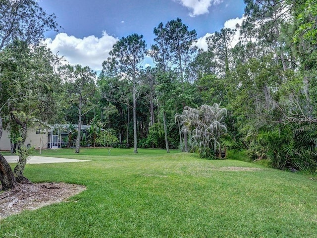 3910 Saywood Ct, Palm Harbor, FL 34685 - view of grassy yard