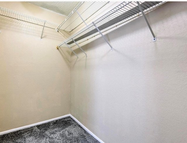 1877 Pine Cone Cir, Clearwater, FL 33760 - walk in closet with carpet floors