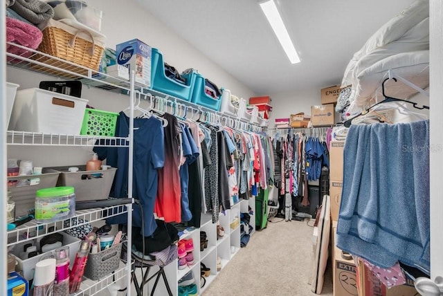 14643 Brumby Ridge Ave, Lithia, FL 33547 - spacious closet featuring carpet flooring