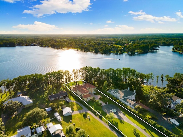 18258 Wayne Rd, Odessa, FL 33556 - view of property location featuring a nearby body of water, property parcel outlined, and a heavily wooded area